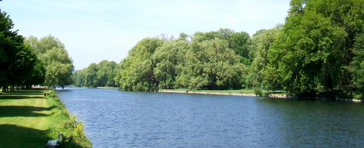 canal entouré de verdure, un cygne en premier plan - Chateau de Chantilly - Petit Parc, le Grand canal à l'est