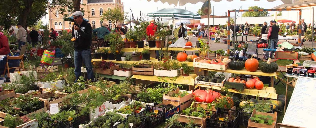 Marché de Rivery