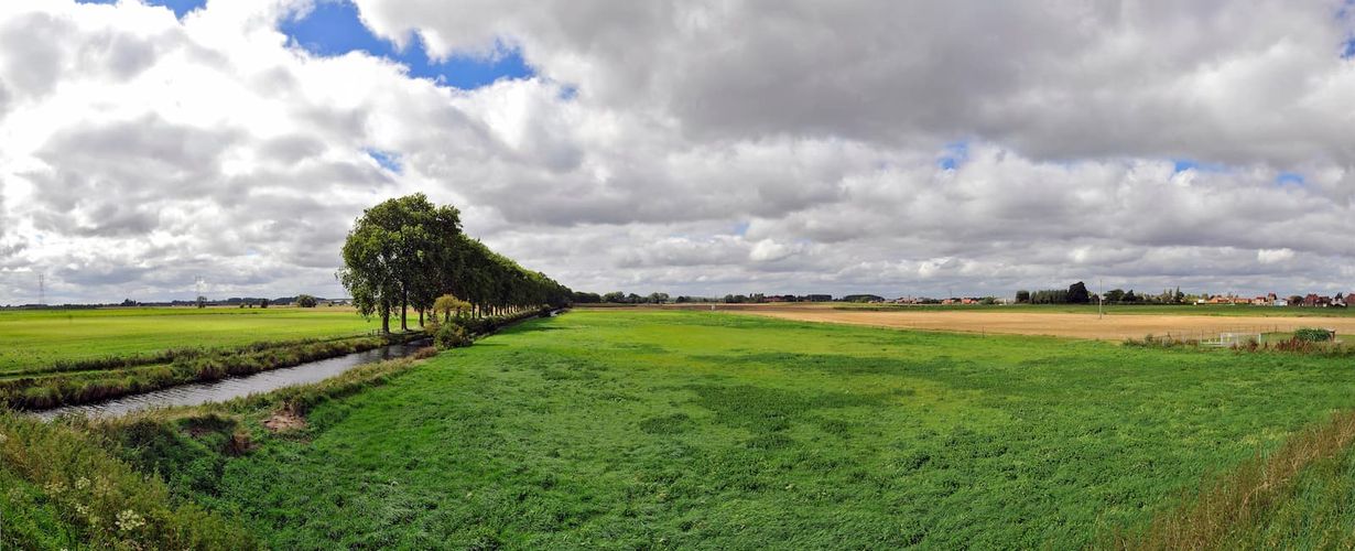 Photo d'un champ à côté d'un cours d'eau