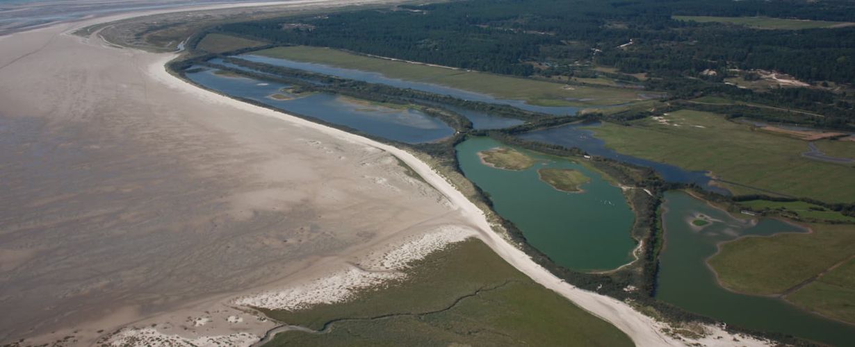 Photo Aerienne Du Parc Du Marquenterre
