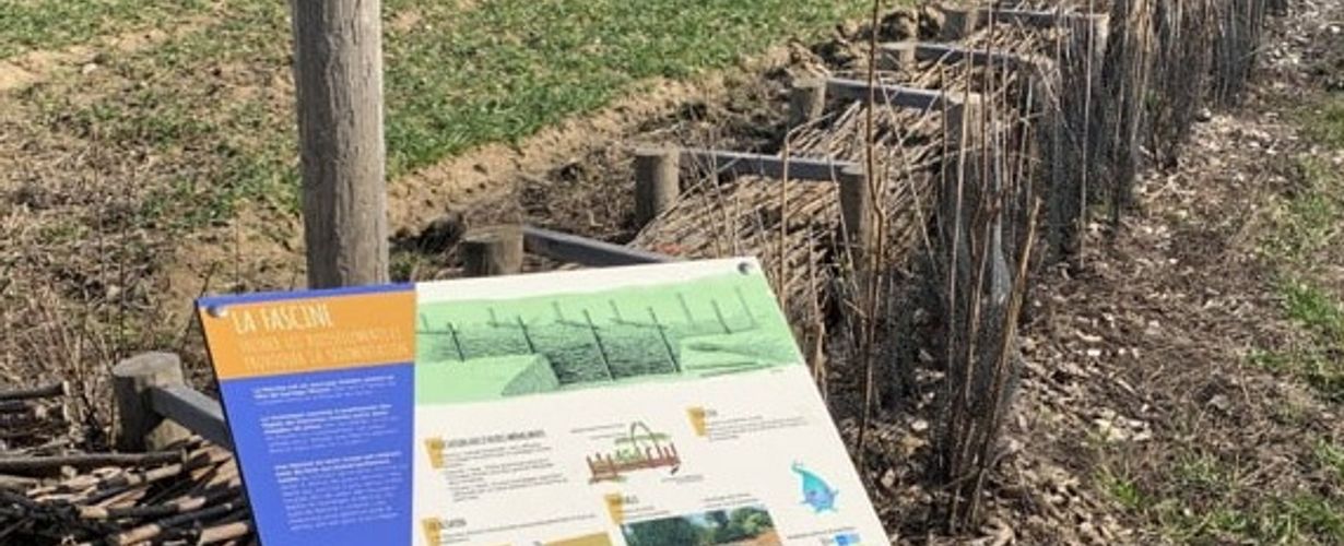 Aménagement de fascines ©SAGE de la Nonette