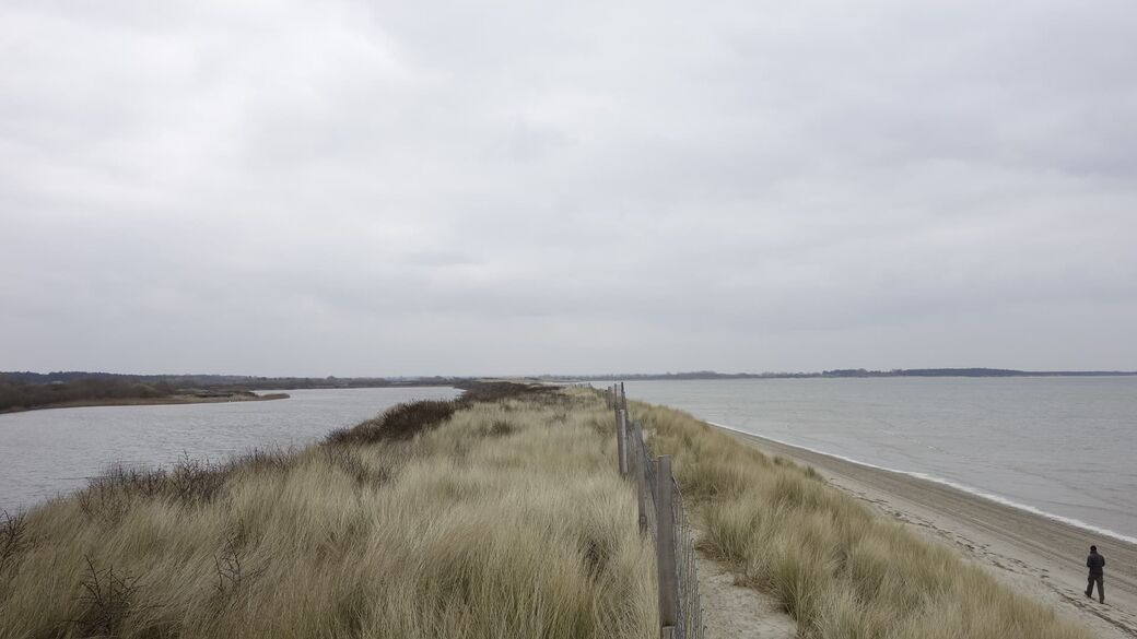 Le cordon dunaire sert de digue pour le Parc