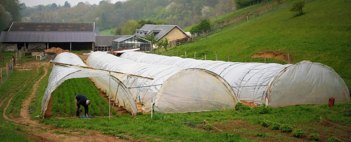 Personne travaillant dans une serre de maraichage - Ferme de Moyembrie