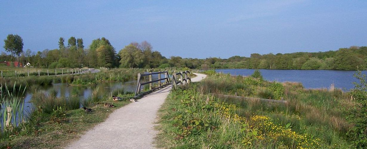 Lac des miroirs du marais de Condette